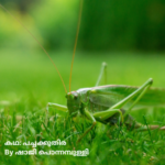 പച്ചക്കുതിര story by shaji ponnumpulli